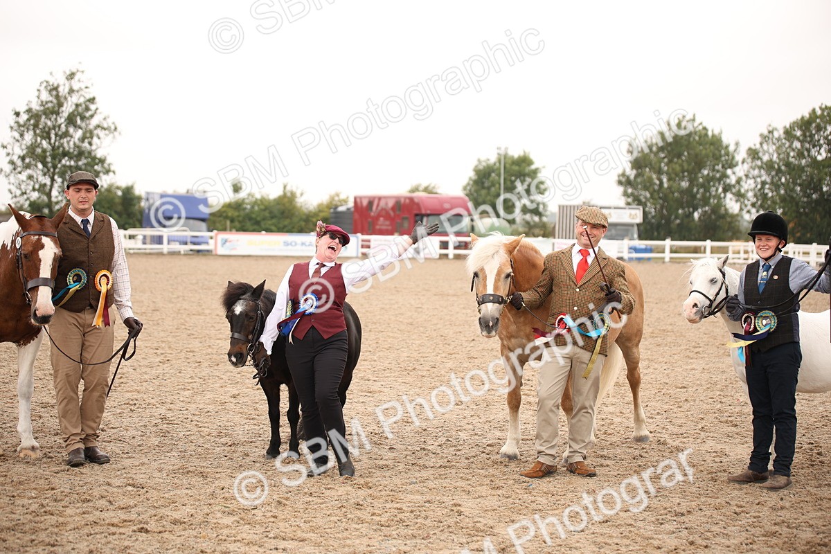 SBM_22182 - Class 707 - Ridden Groom-Helpers Class