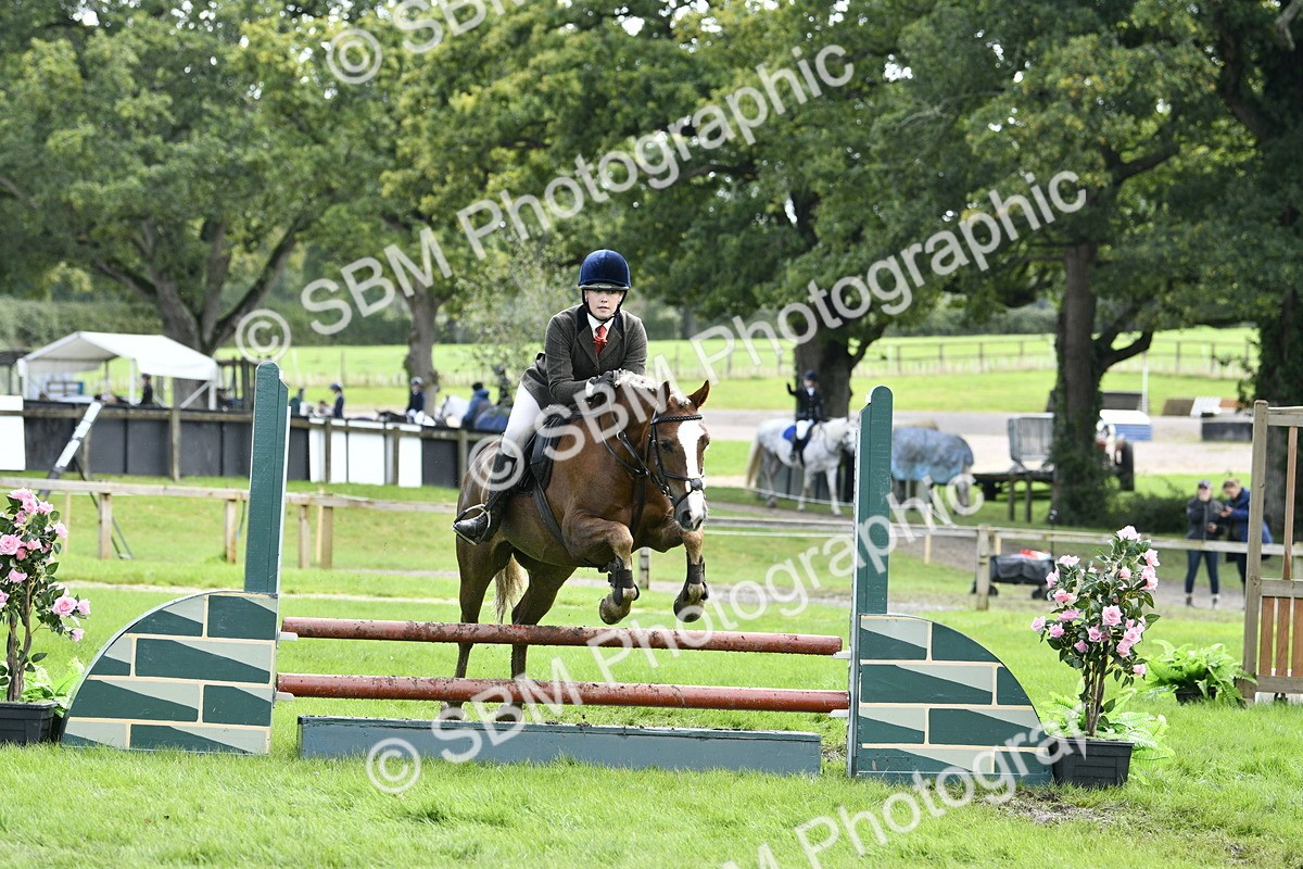 SBM_45651 - S33 - Working Hunter Pony