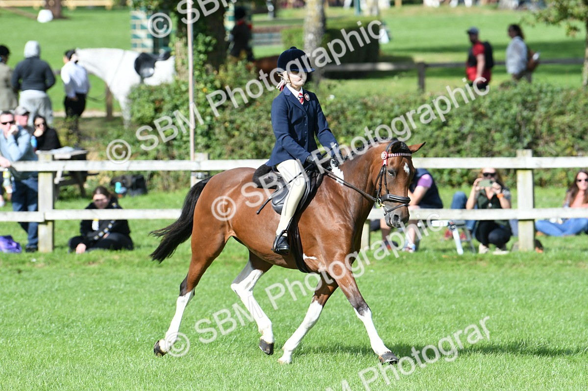 SBM_47142 - S12 - Family Horse & Pony