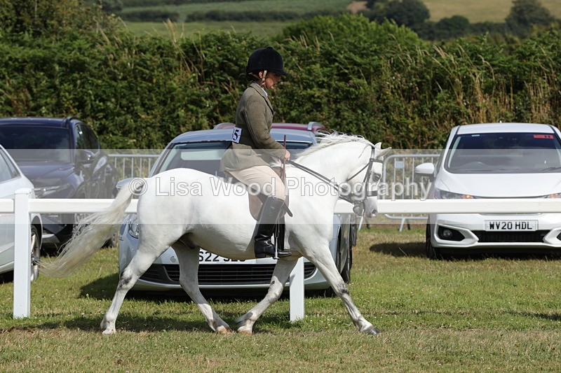 1X9A5669 - Class 40: NPS Welsh A & B