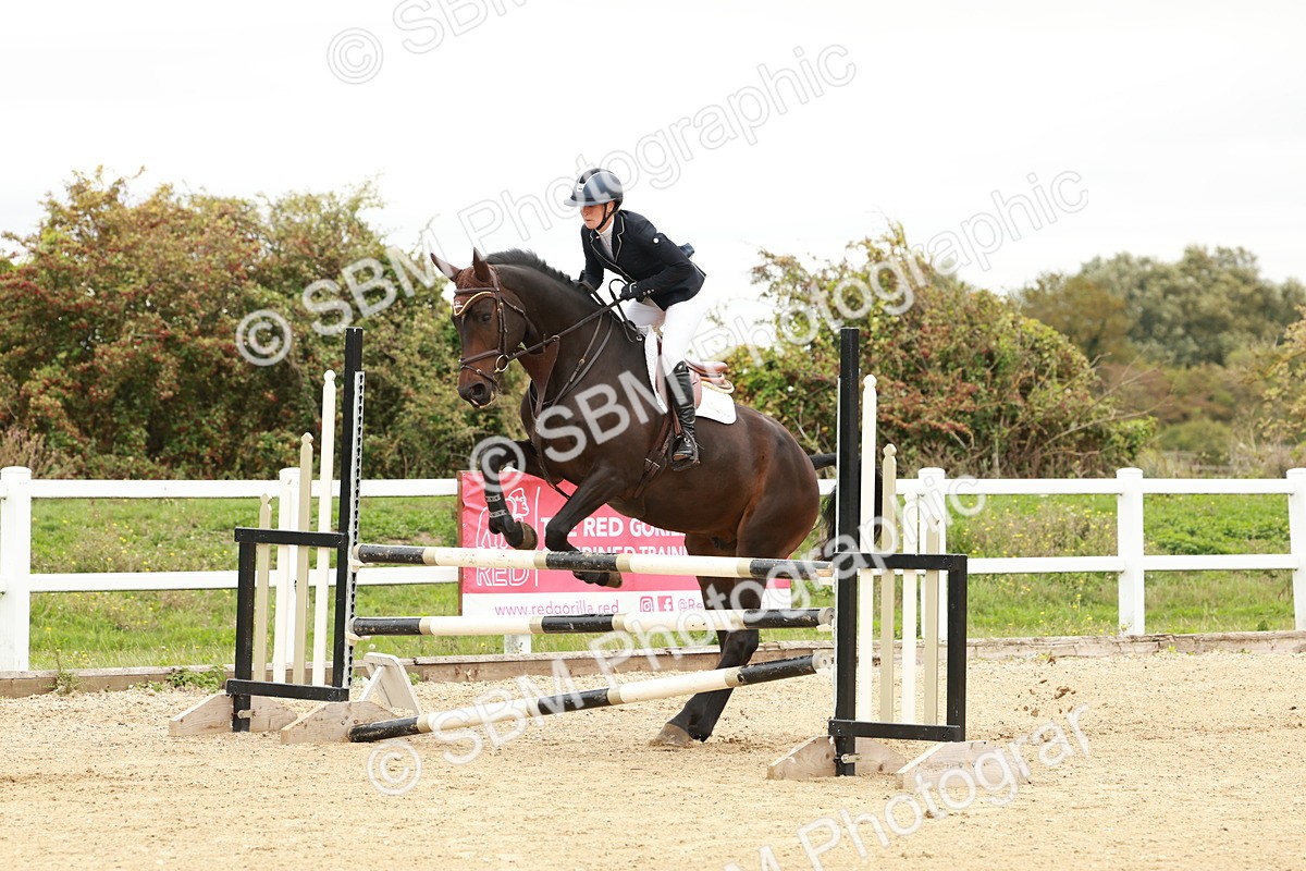 1I0A6842 - Class 2 - Senior British Novice