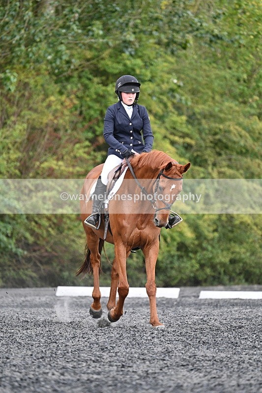 WJ7_7910 - Time 13:40 to 14:00