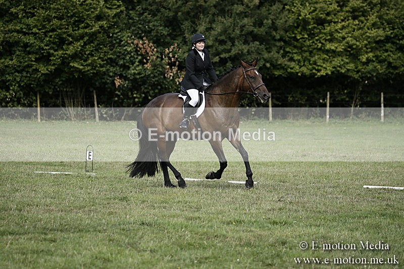 BVR090918 159 - BVRC Dressage and Show Jumping 09/09/18