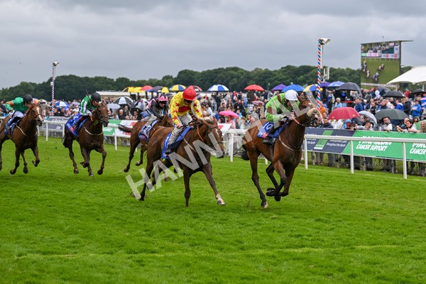 150624-Race 2-Tolstoy-6872 - Race 2 2.25pm Sky Bet Proud To Support Macmillan Handicap