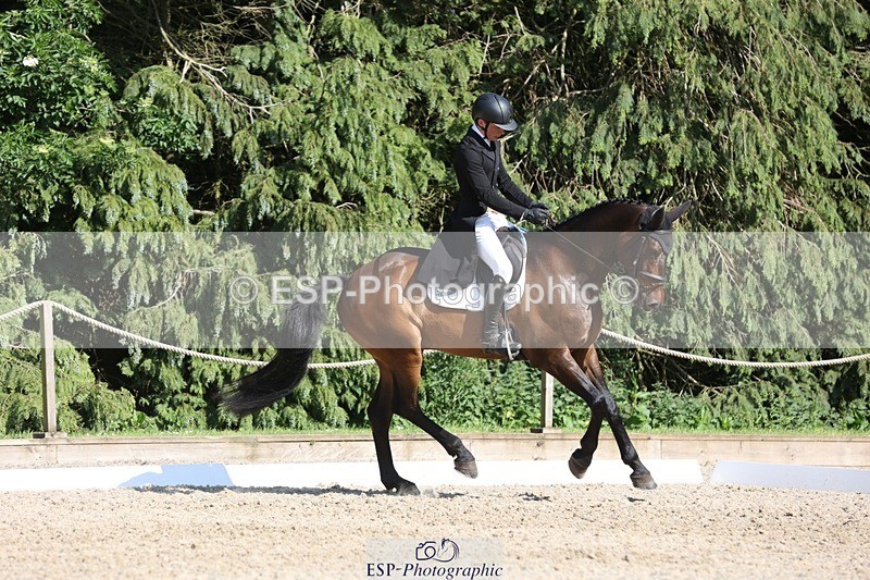 230526-170157-07891 - 174-LANCELOT_BMG-Alfie_Marshall-WEDTrotUp+DR