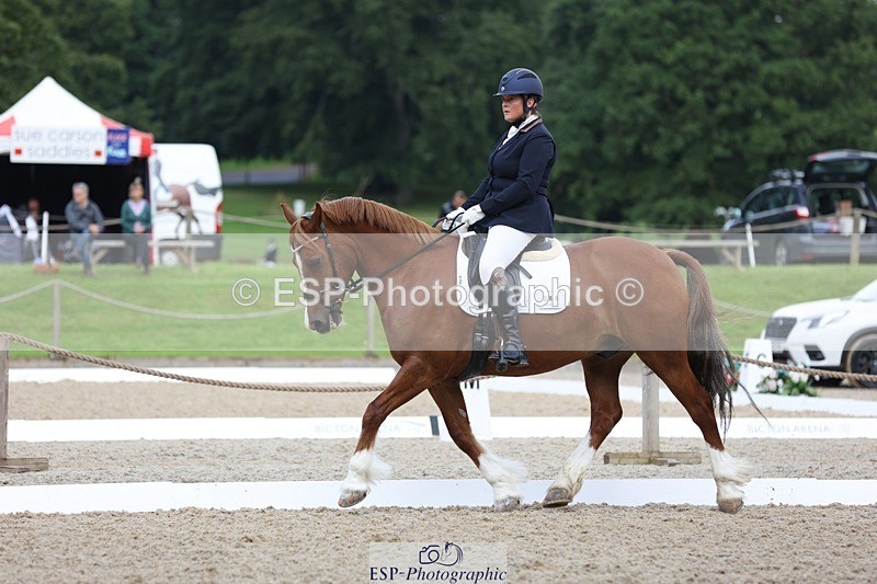 230813-094944-06148 - Cls 11 Elem Bronze Start to 10.50 break