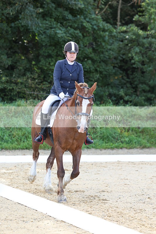 3E7A2224 - Class 1: Intro 4 2024 section A