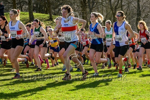 Falkirk25-913694 - Senior Women Set One