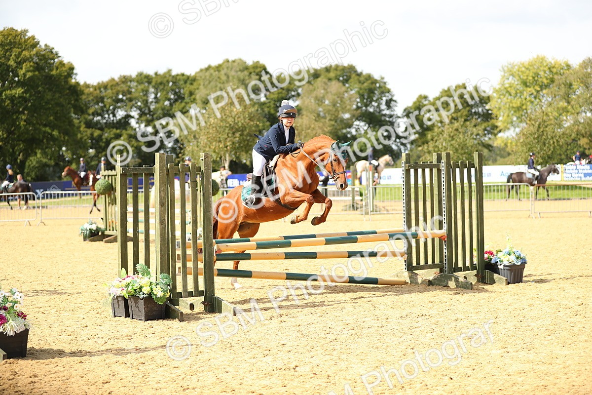 SBM_66066 - J17 - Junior Pony 80cm Championship