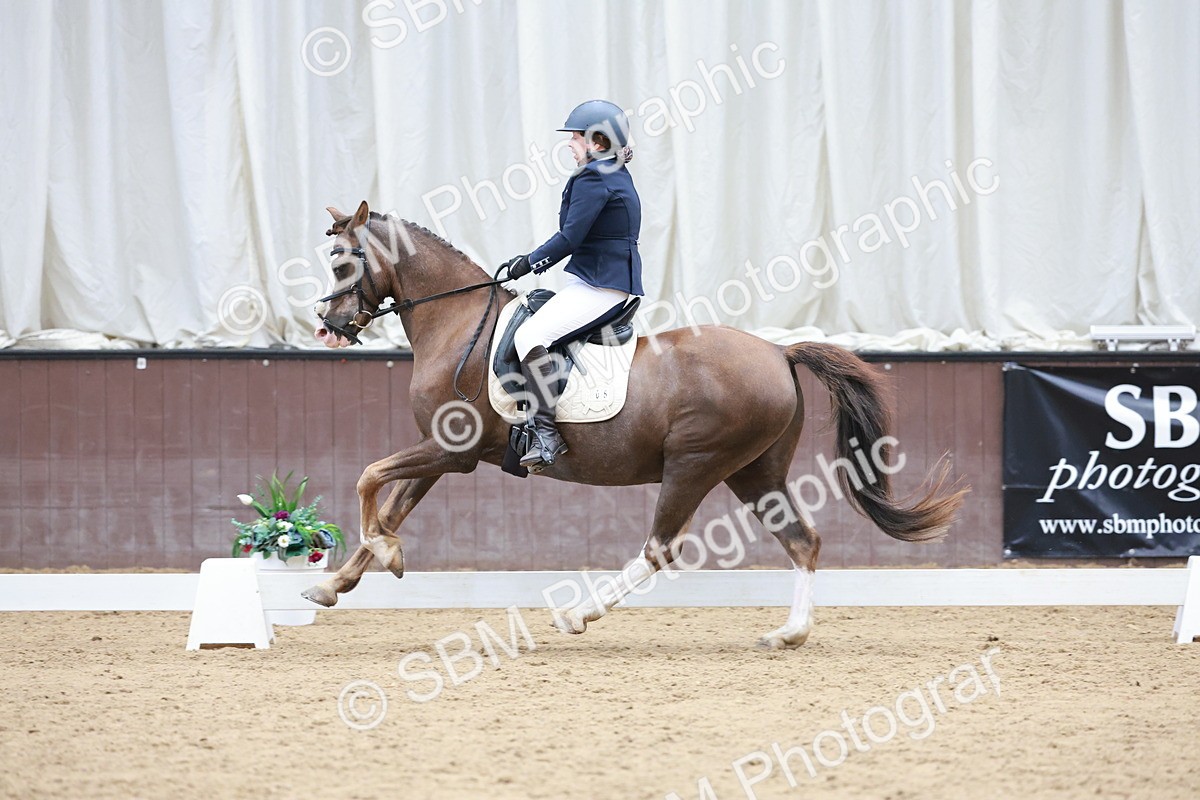 SBM_010137 - Class 6b - Novice 6 - 12.40-13.43