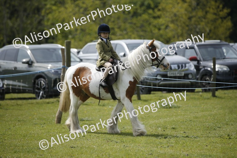 20260426-1868 - Class 7 - Pony Judge Would Most Like To Take Home