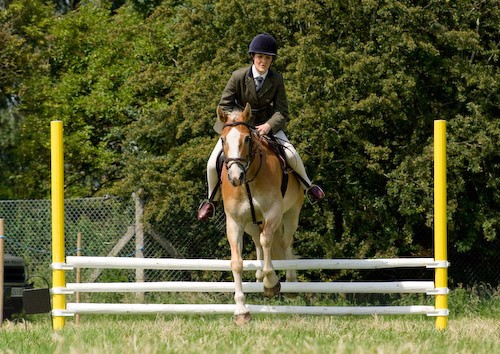 78 - Moniaive Horse Show 2008