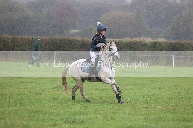 JPP_5041 - Class 1: 65cm : Showjumping