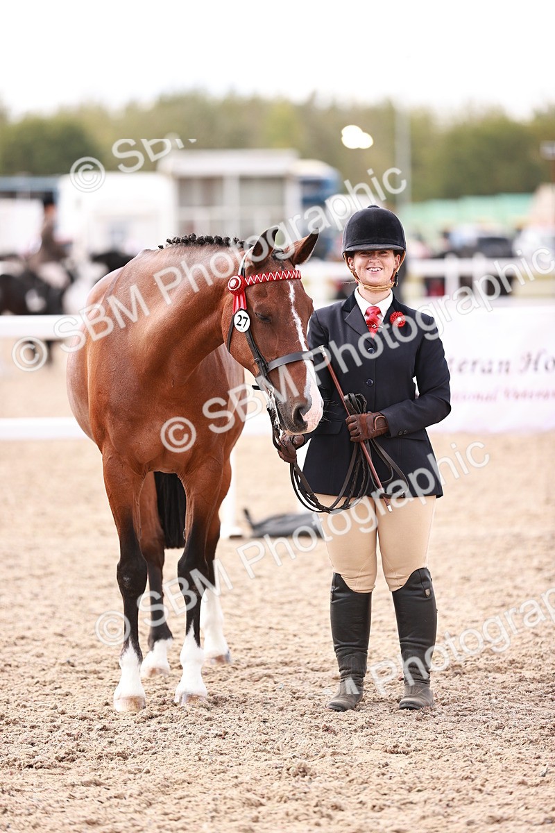 SBM_14193 - Class 407 - IH Hack Riding Horse