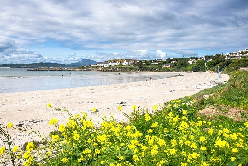 MF1_7258-Edit - Downings & Beaches