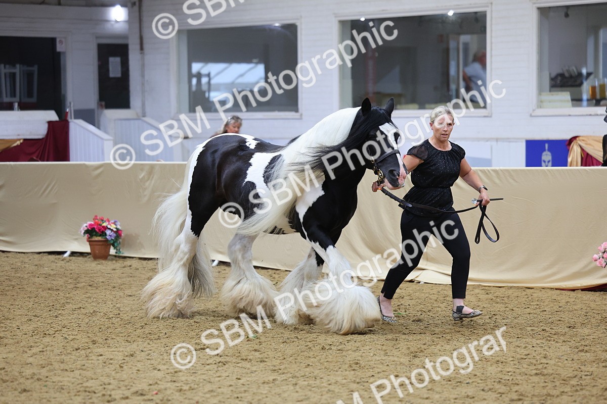 SBM_21106 - Class 902 - Supreme Final IH Veteran