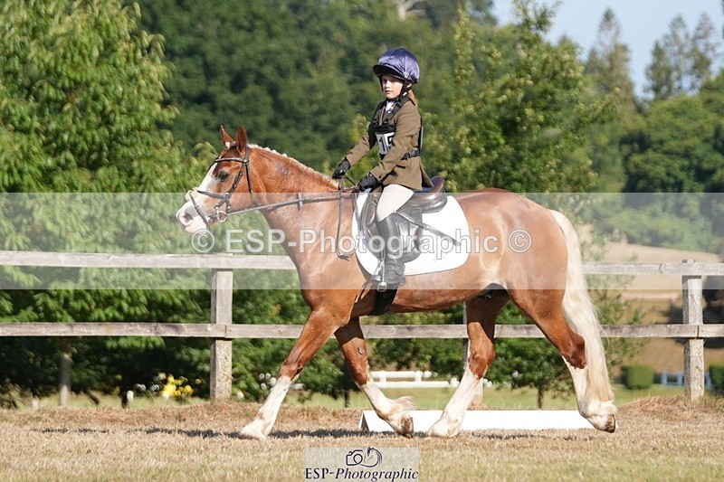 250823A-092504-25668 - Arena A