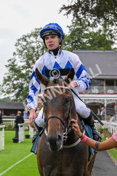 250725-Race 4-Dicko The Legend-0663 - Race 4 7.13pm Tomahawk Restaurants Handicap