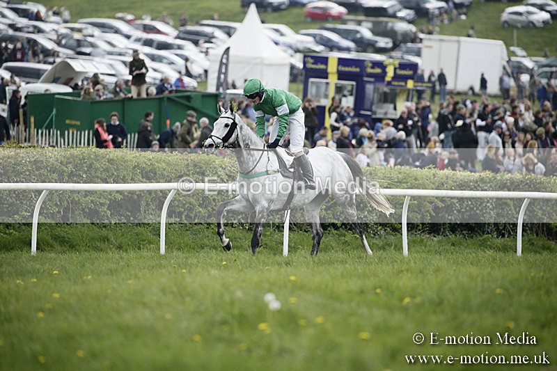 PtP 170417 106 - Old Berks Point-to-Point Lockinge 17/04/17