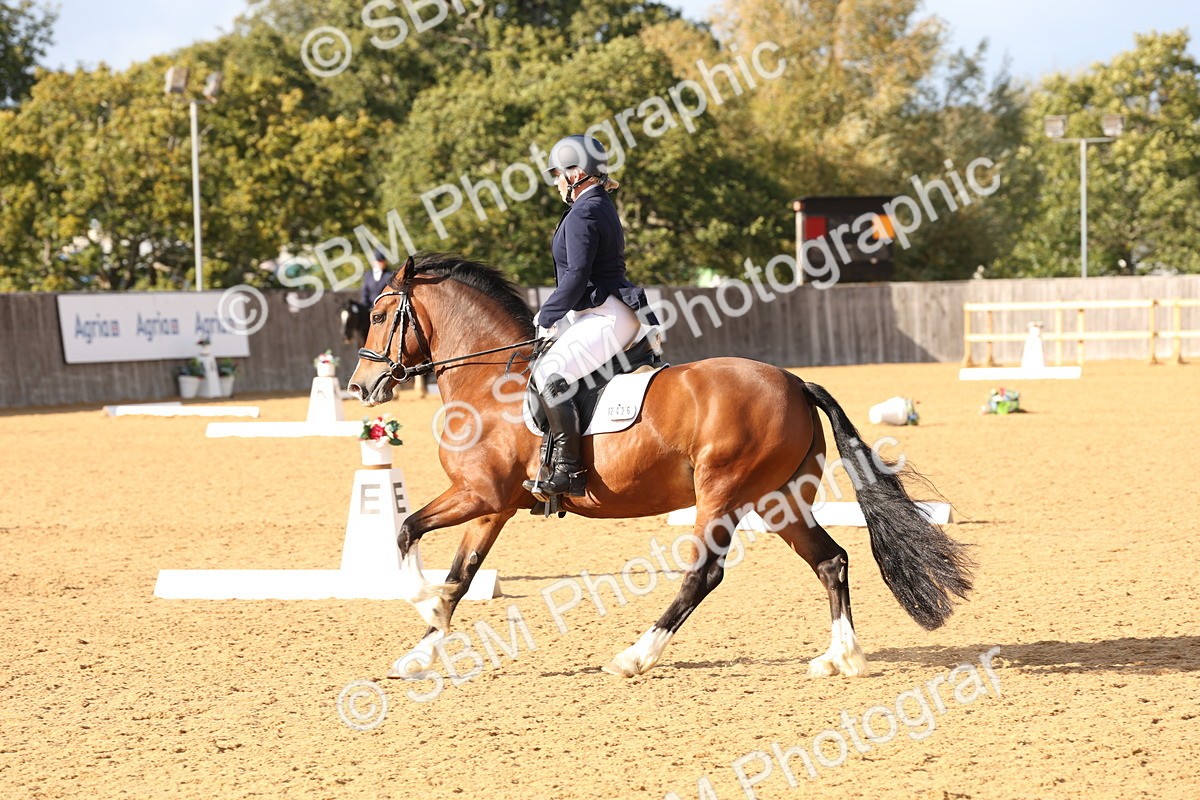 SBM_27021 - D17 - Grand Tour Championship Novice 3