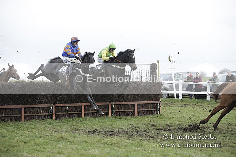 PtP 150320 0593 - New Forest Point-to-Point Larkhill 15/03/20