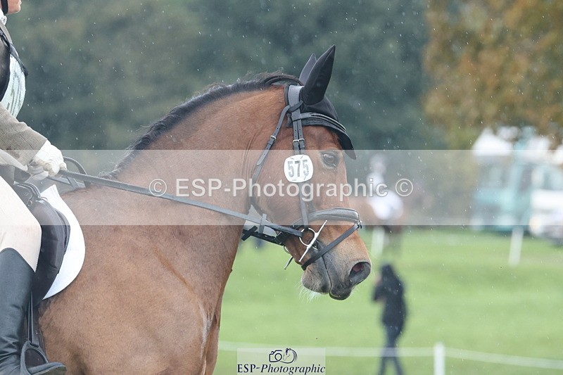 251024A-145734-14325 - G-575-Victoria.Woodland