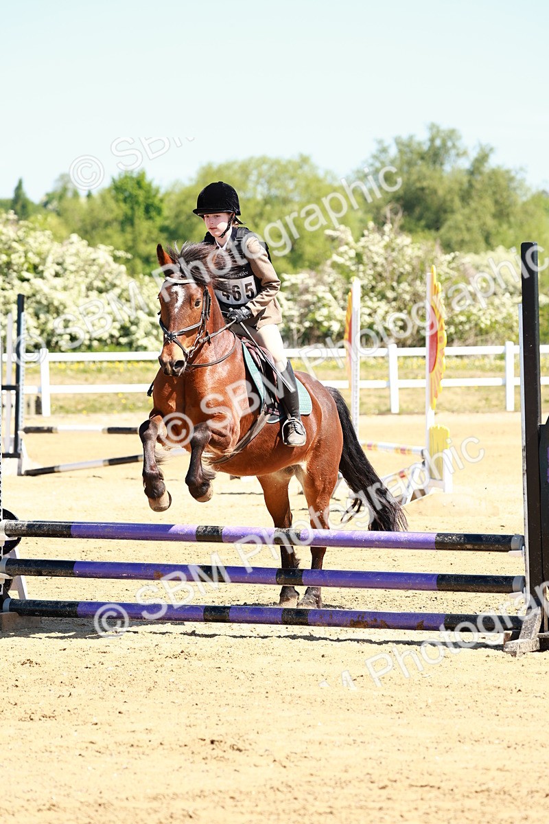 SBM_007112 - Class 3 - 60cm