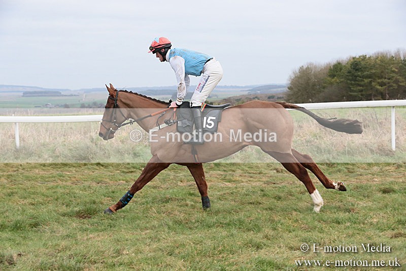 PtP 060119 194 - Larkhill Racing Club - Point-to-Point- 06/01/2019