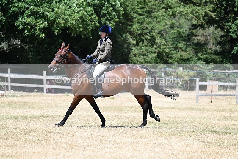 WJ7_3117 - Class 7 Riding Club Show Horse