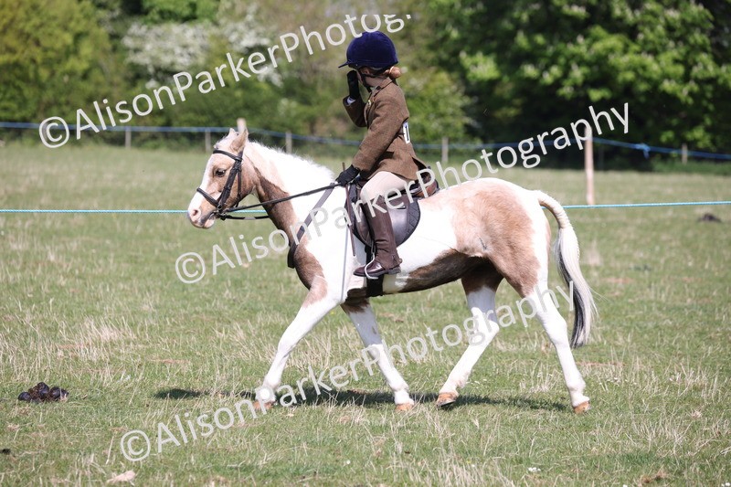 20250427-3197 - Class 33 - Best Pony 14.2hh and Under