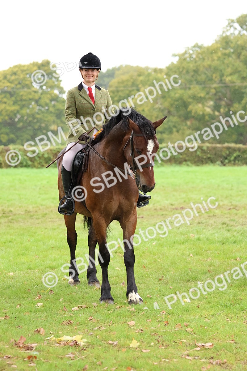 SBM_69765 - S62 - Mountain & Moorland Ridden Large Breeds