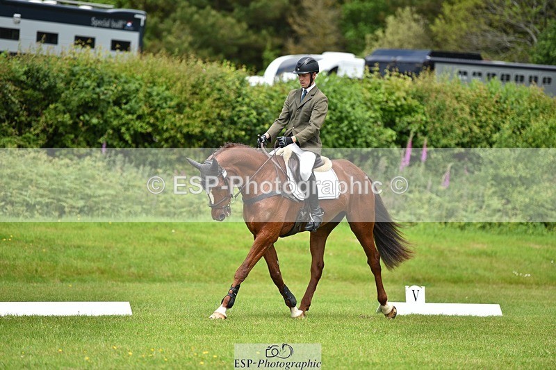 240523B-123728-02196 - 5 Year Old