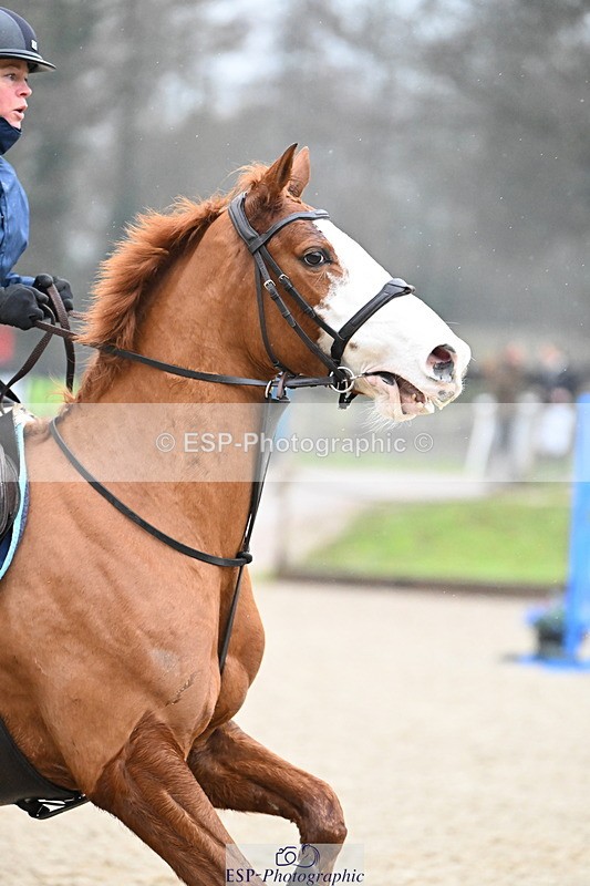 250215A-140446-01403 - Cls 1 British Novice and 90cm Open