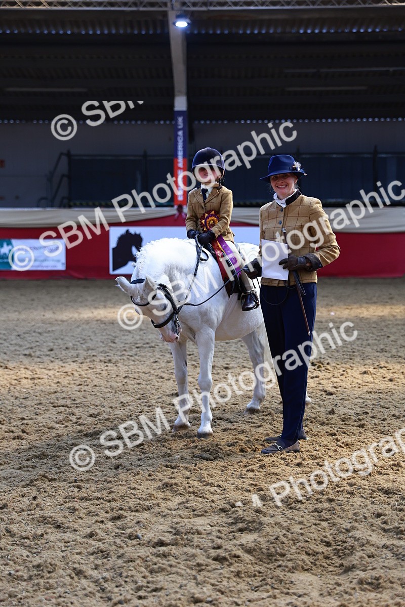 SBM_12791 - HOYS Veteran Qualifier - Ridden Champ