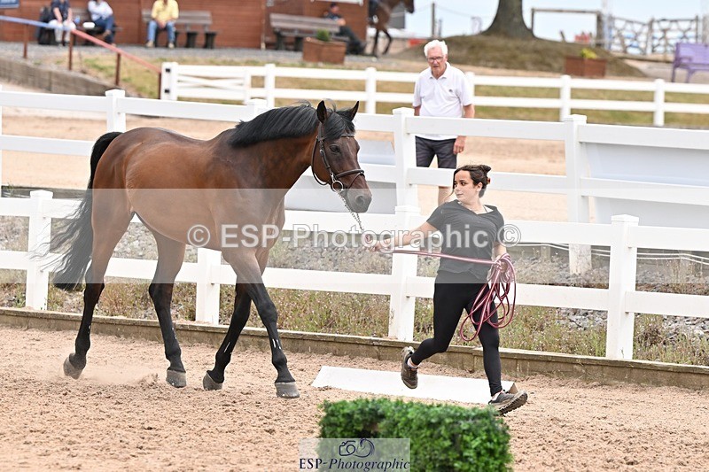 250716-144605-01378 - Trot Up 2.30 to 3.30