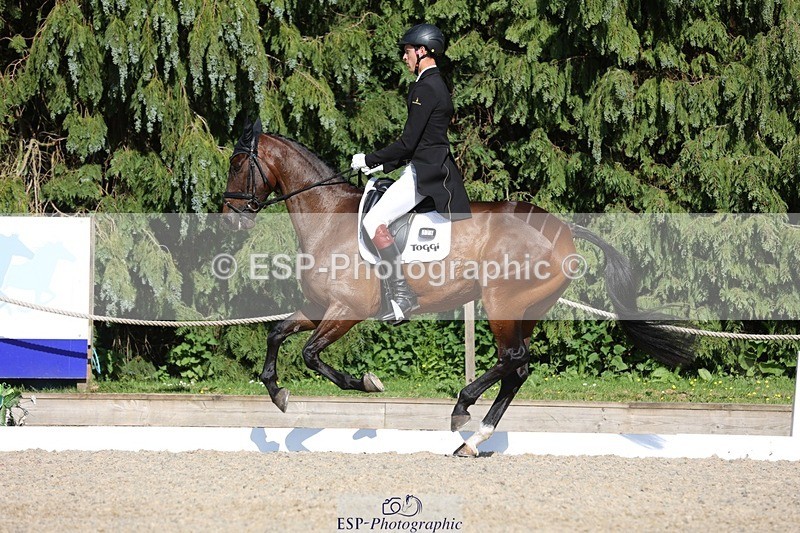 230526-171416-07933 - 176-TENZ-Will_Rawlin-WEDTrotUp+DR