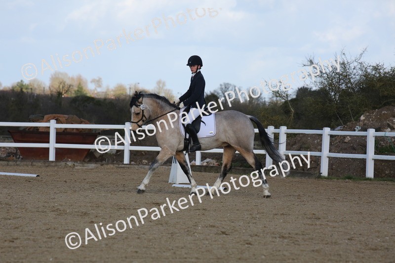 20260314-5189 - DR6 - Novice 2