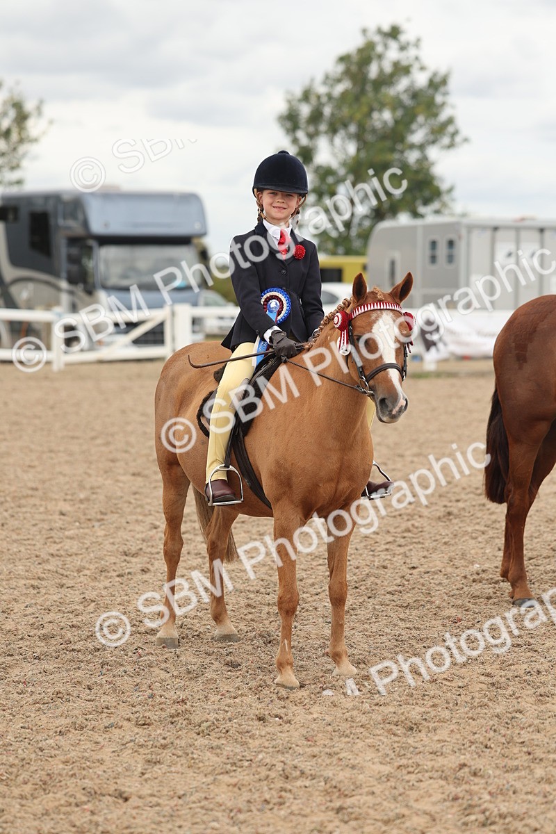 SBM_16078 - Class 311 - Ridden Show pony-Show hunter Pony