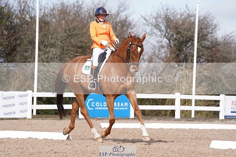 250322-110324-00196 - DR Elementary 1 Test