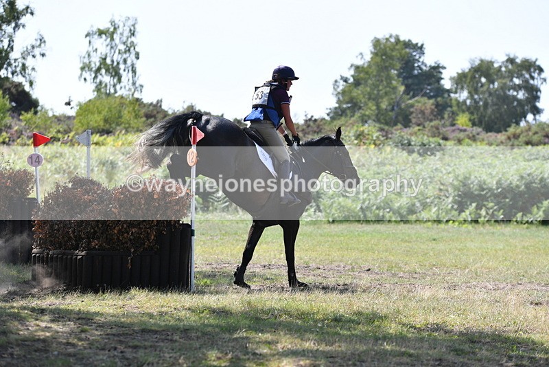 WJ5_3423 - XC Time 13:30 to 14:00