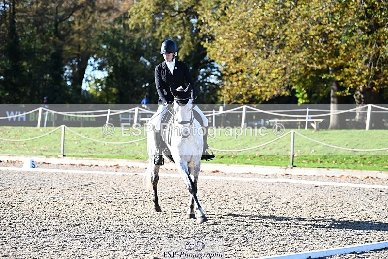 231110-103110-00111 - Cls 2 Prelim 17(a)Q