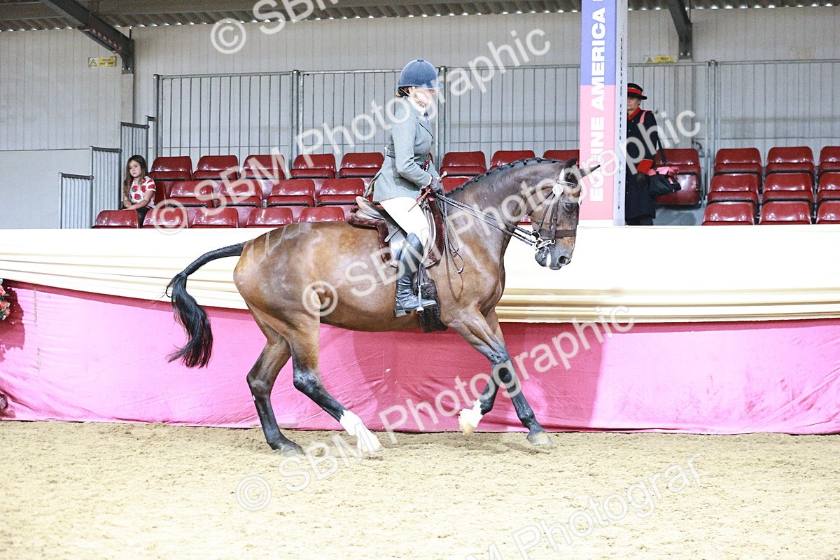SBM_07300 - Class 10R - Regional Ridden Diamond