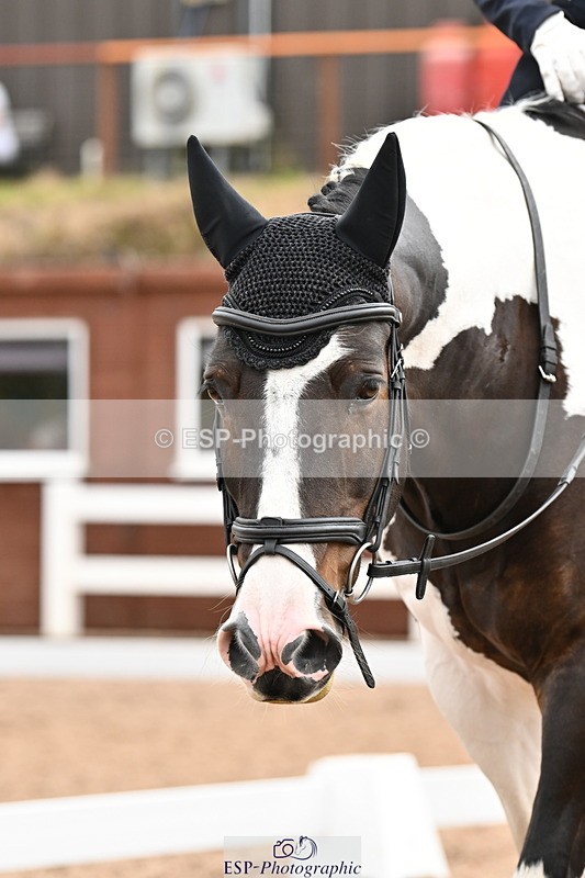 240817A-105619-07249 - 272-Victoria.Lance-Homefarm.Helios