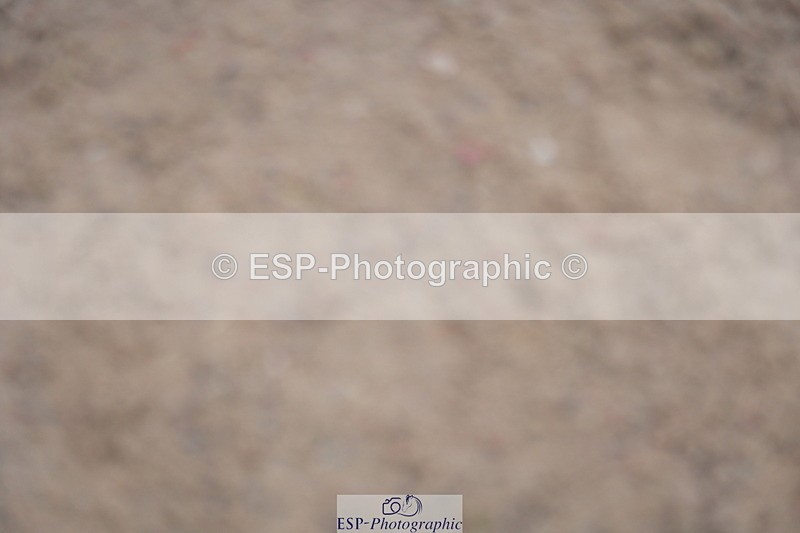 231017A-140414-07161 - Cls 28 Snr 1.20m