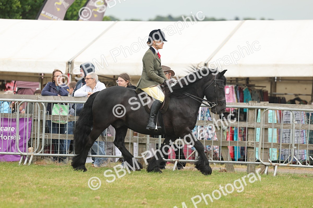 SBM_08922 - Class 78-80 - Ridden M&M Non Welsh Ponies