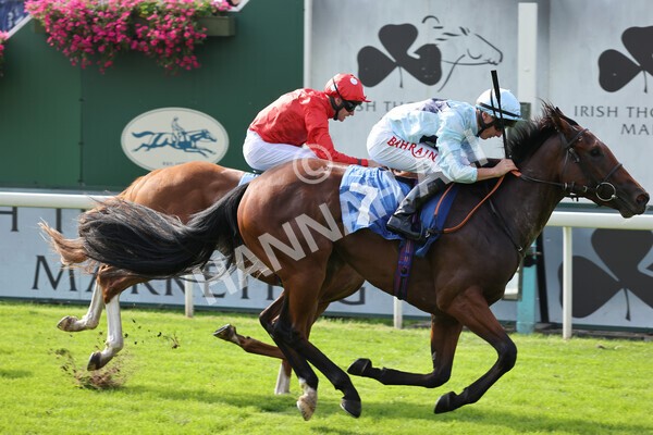 yr05092021r1-29 - Race 1 2.10pm IRE-Incentive It Pays To Buy Irish ebfstallions.com Novice Stakes