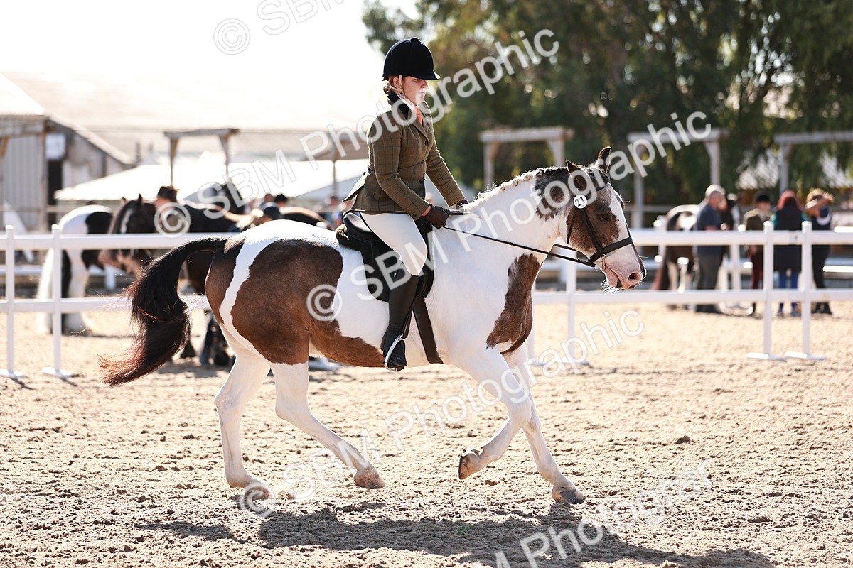SBM_12518 - Class 403 - Grassroots Ridden - Junior