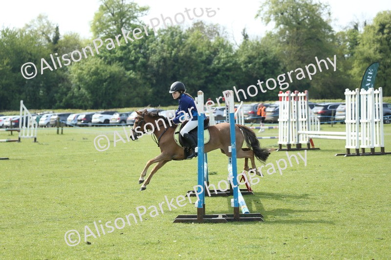 20260426-1571 - Class 14 - Novice 60cm