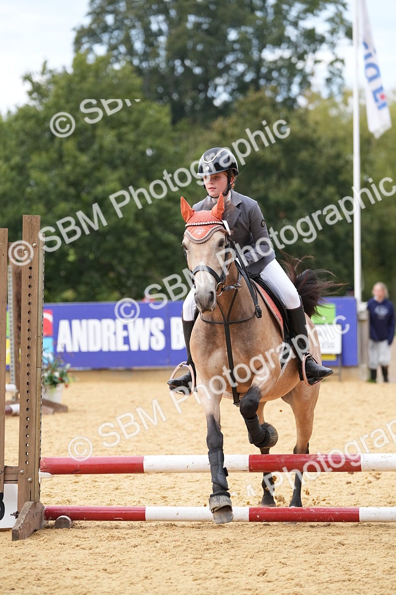 SBM_74751 - J4 - Mini Tour Junior Pony 45cm Championship