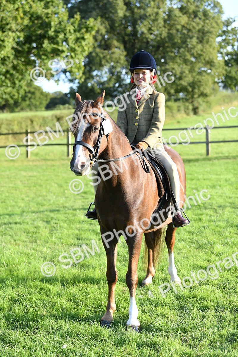 SBM_54134 - S23 - 1st Ridden Mountain & Moorland Pony